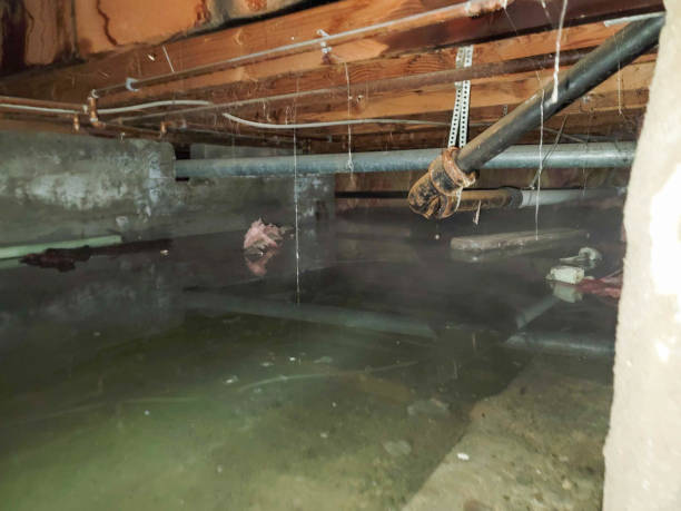 24/7 water damage repair in VA