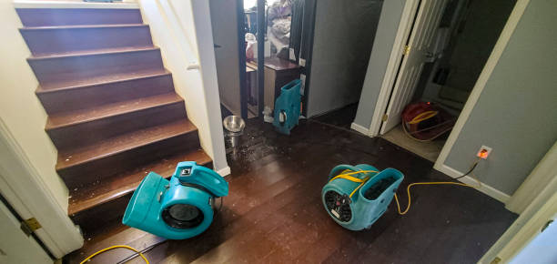 Best Commercial water damage restoration  in Gate City, VA