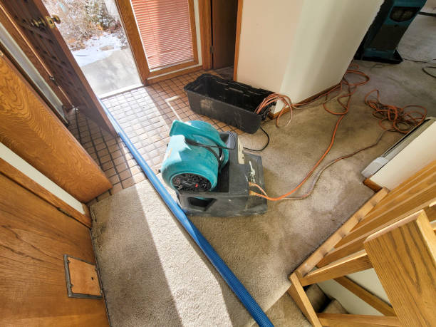 Best 24-hour water damage restoration  in Gate City, VA