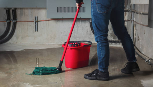Best Water damage contractors near me  in Gate City, VA