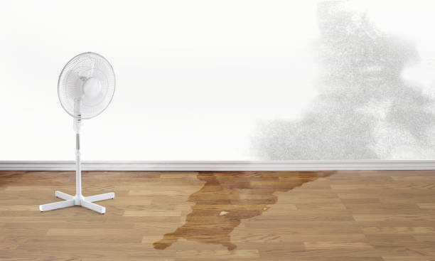 Best Water damage restoration near me  in Gate City, VA