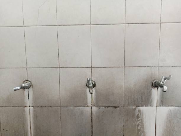 Best Ceiling water damage repair  in Gate City, VA