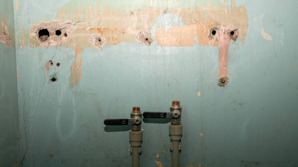 Best Water damage contractors near me  in Gate City, VA