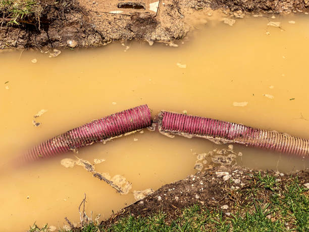 Best Flood restoration services  in Gate City, VA
