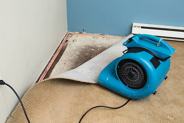 Best Basement water damage restoration  in Gate City, VA